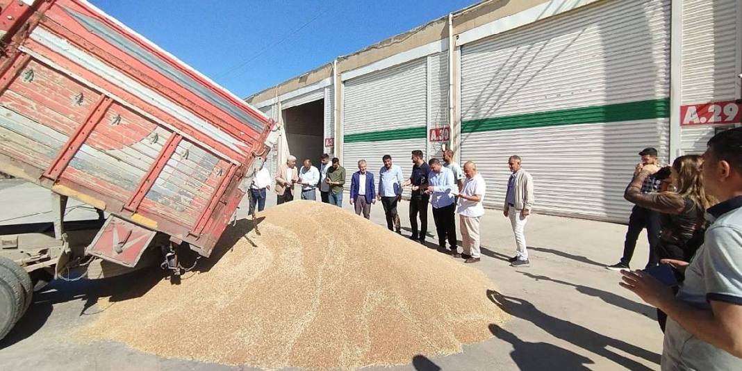 Geçen sene 40, bu sene 6 ton verim elde edildi, durum fiyata yansıdı! Çitçinin yüzü asıldı: Kilosu 17 liradan satıldı 4